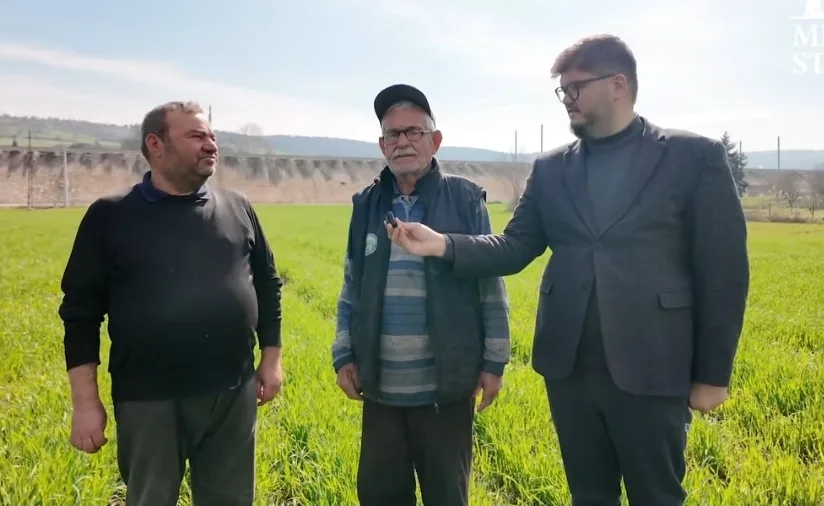 Millsar Yulafta fark atmaya devam ediyor