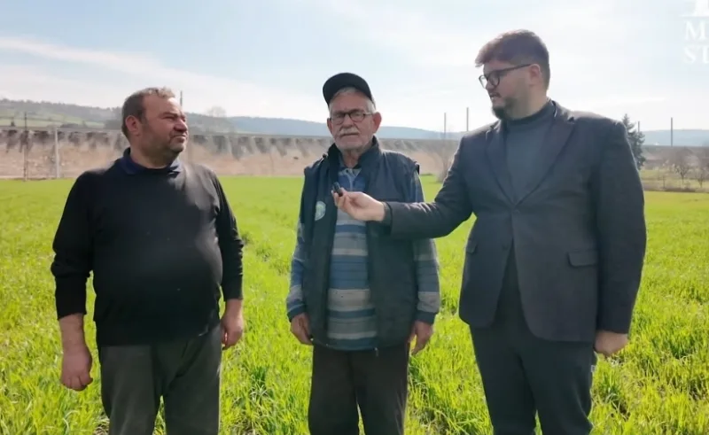 Millsar Yulafta fark atmaya devam ediyor