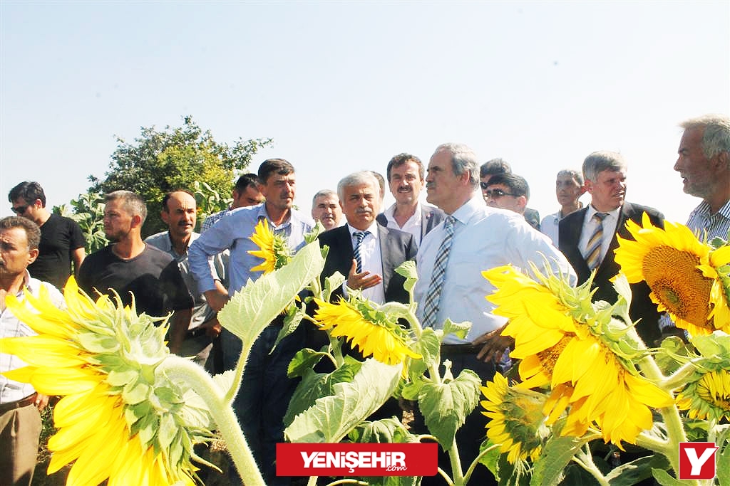 Yenişehir’e gelen Altepe yatırımları inceledi